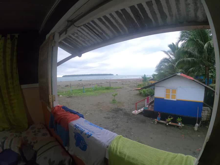 From Cali: Whale Watching Day Trip in Buenaventura - Is this a good fit for you?