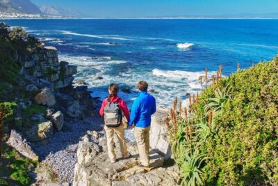 Full Day Guided Hermanus and Whale Tour