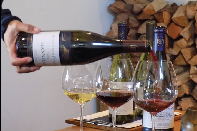 From Cape Town: Full Day Guided Hermanus and Whale Tour - Wine Village and the Hemel-en-Aarde Valley