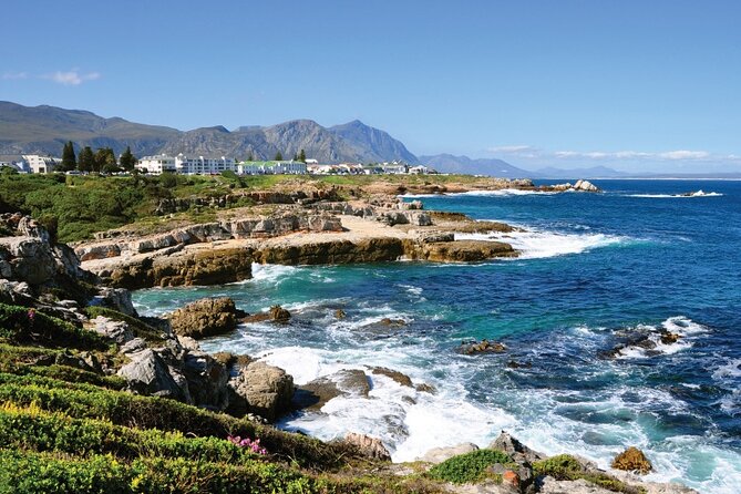 From Cape Town: Full Day Guided Hermanus and Whale Tour - Peregrine Farm Stall in the Elgin Valley