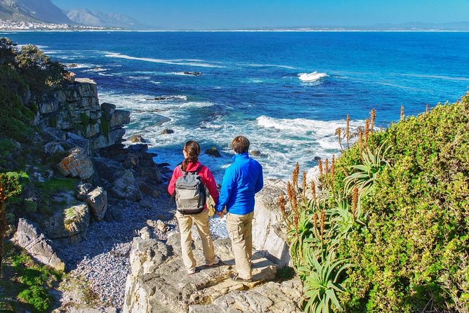 From Cape Town: Full Day Guided Hermanus and Whale Tour - Hermanus New Harbour and the optional whale cruise