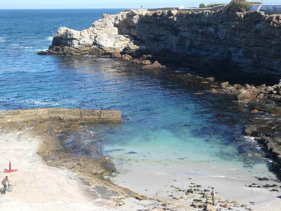 From Cape Town: Full Day Hermanus Whale Watching Tour - The optional boat trip and its real cost
