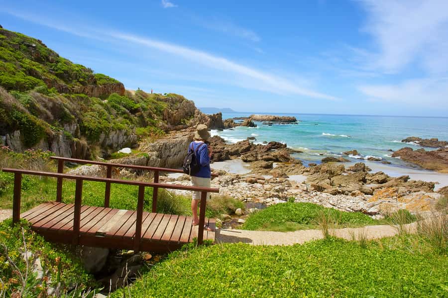 From Cape Town: Full Day Hermanus Whale Watching Tour - Wednesday and Friday at Bouchard Finlayson