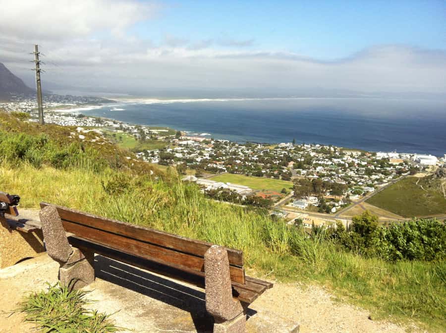 From Cape Town: Hermanus Whale Watching Full Day Tour - The Hemel-en-Aarde wine tasting in town