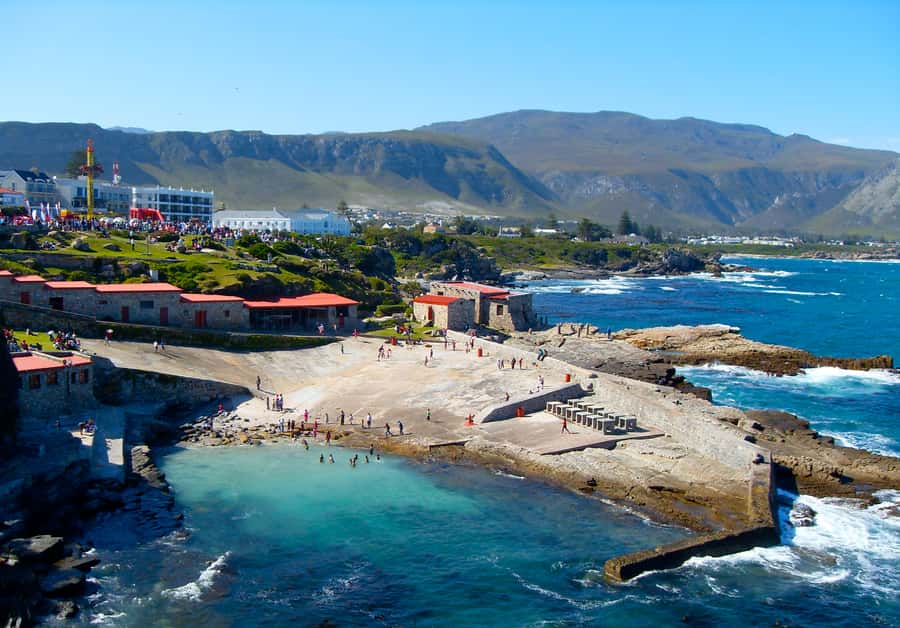 From Cape Town: Whale Watching Tour in Hermanus and Gansbaai - Key points to know before booking