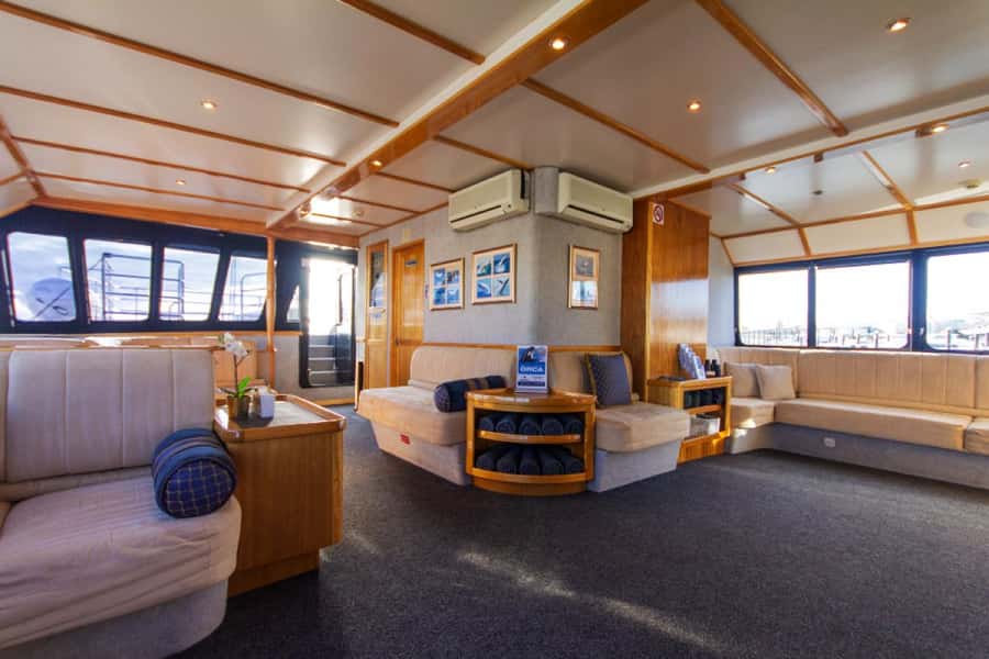 From Fremantle: 2-Hour Luxury Whale-Watching Cruise - Comfort, children, and seasickness