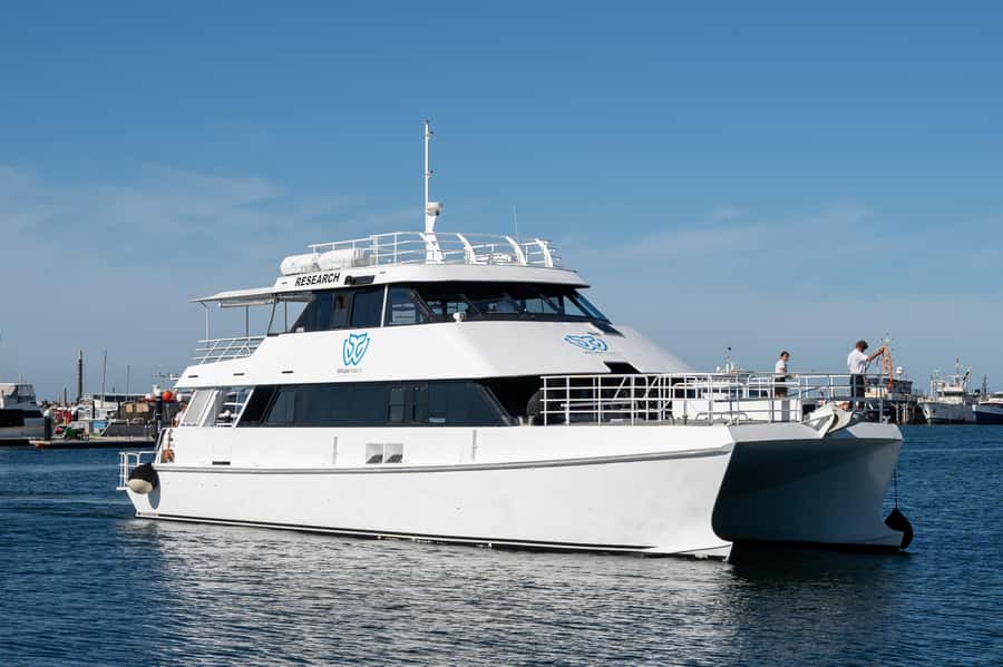 From Fremantle: 2-Hour Luxury Whale-Watching Cruise - Who will enjoy this whale-watching cruise?
