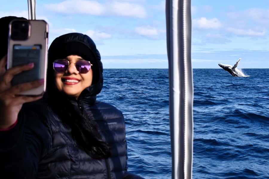 From Fremantle: 2-Hour Luxury Whale-Watching Cruise - Searching Perth’s sheltered waters for humpbacks