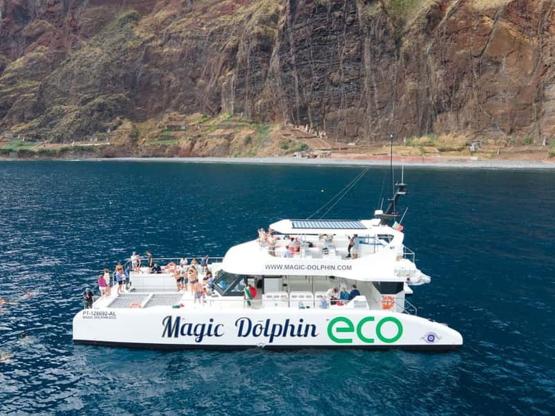 From Funchal: Ecological Catamaran Dolphin Whale Watching - Leaving Funchal Marina and finding the wildlife