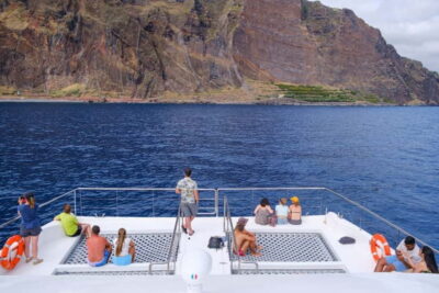 Ecological Catamaran Dolphin Whale Watching