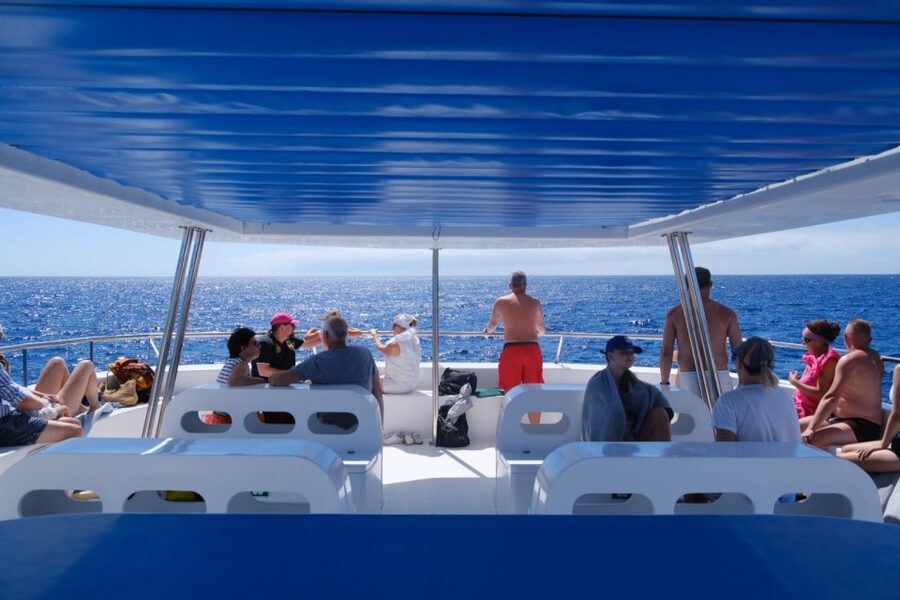 From Funchal: Ecological Catamaran Dolphin Whale Watching - How the $41 price works out