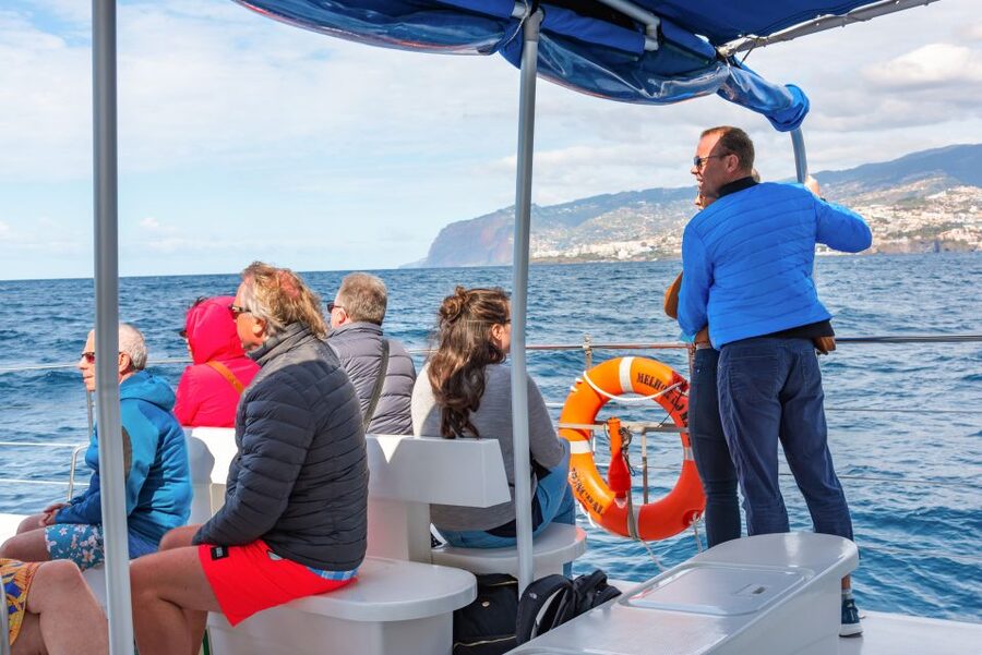 From Funchal: Madeira Dolphin and Whale Watching Tour - Booking advice and final verdict