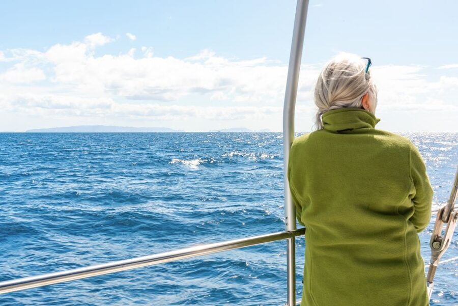 From Funchal: Madeira Dolphin and Whale Watching Tour - What the catamaran feels like at sea