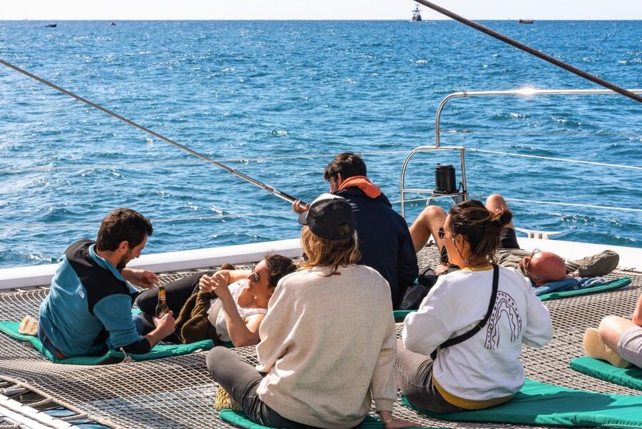 From Funchal: Madeira Dolphin and Whale Watching Tour - The free second outing, and its limits