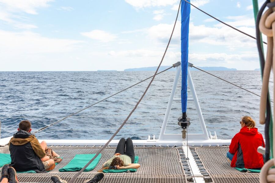 From Funchal: Madeira Dolphin and Whale Watching Tour - Who will enjoy this Madeira cruise?