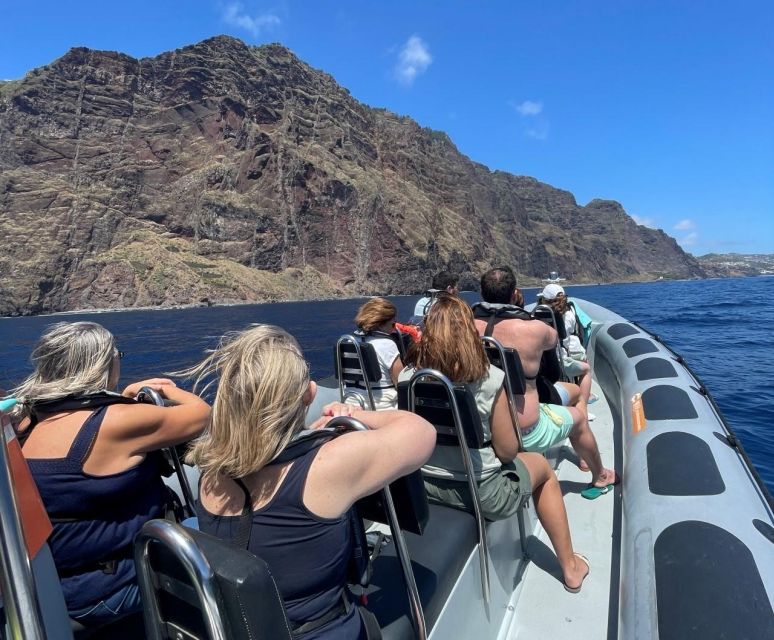 From Funchal: Whale and Dolphin Watching - Why the Marine Biologist Matters