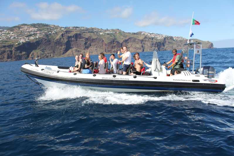 From Funchal: Whales and Dolphin Adventure Tour - Quick points before you book