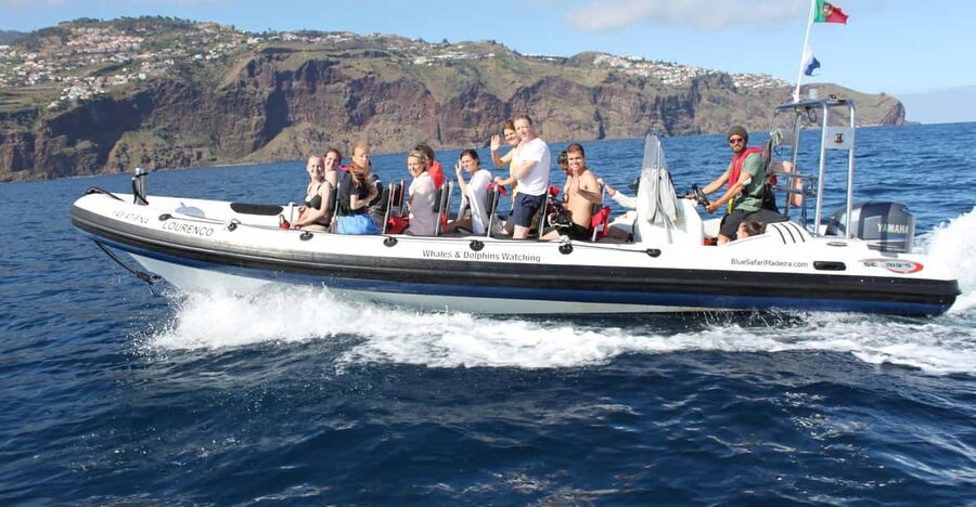 From Funchal: Whales and Dolphin Adventure Tour - A small RIB instead of a crowded catamaran