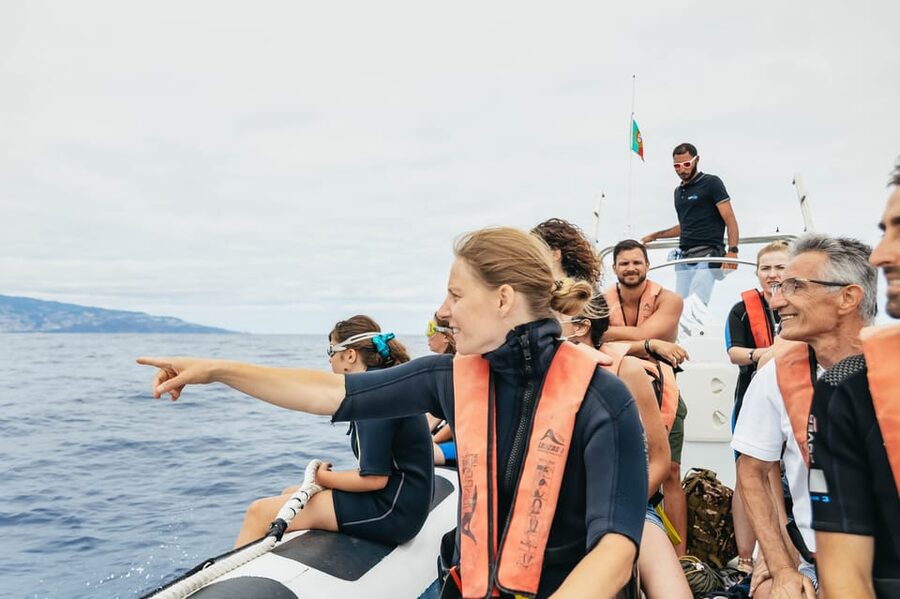 From Funchal: Whales and Dolphin Adventure Tour - Wildlife sightings and what you might see