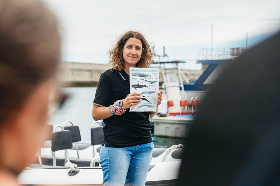 From Funchal: Whales and Dolphin Adventure Tour - Price, group size, and overall value