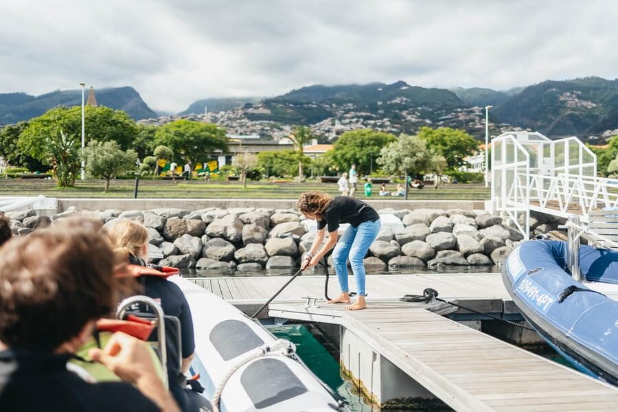 From Funchal: Whales and Dolphin Adventure Tour - Leaving Funchal Marina for the open sea