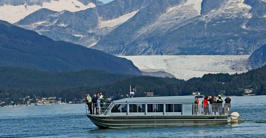 From Juneau: Whale Watching Cruise with Snacks - Why this Juneau whale cruise is worth your time