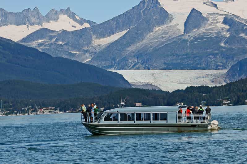 From Juneau: Whale Watching Cruise with Snacks - Guides who make the difference