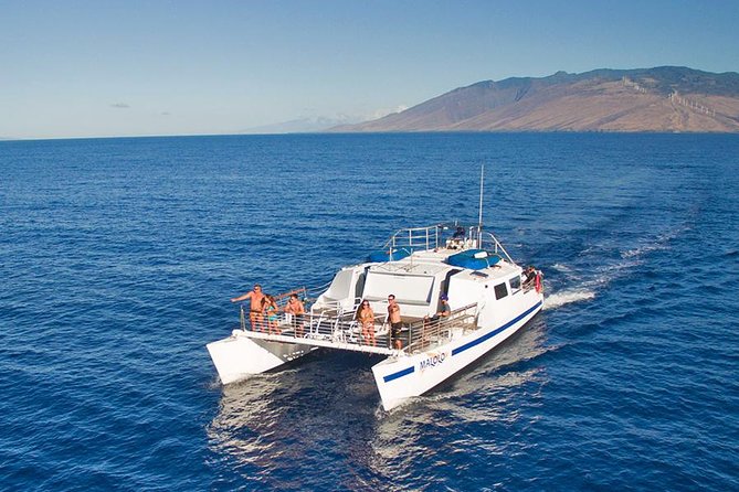 From Ma'alaea Harbor, Maui: Whale Watch Cruise Aboard Malolo - Who will enjoy this whale watch most?