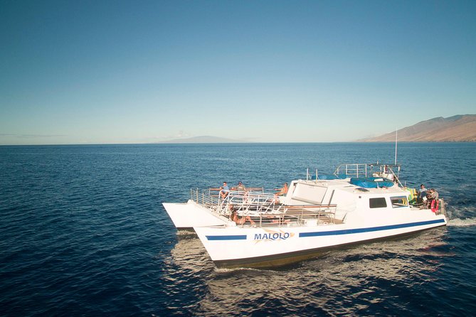 From Ma'alaea Harbor: Whale Watch Cruise Aboard the Malolo - Hearing whale songs through the hydrophones