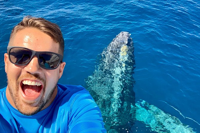 From Maalaea: Whale Watching Tour Aboard the Quicksilver - Why Maui is such a good place for whale watching