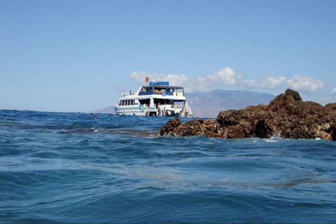 From Maalaea: Whale Watching Tour Aboard the Quicksilver - Is $49.95 a good value?