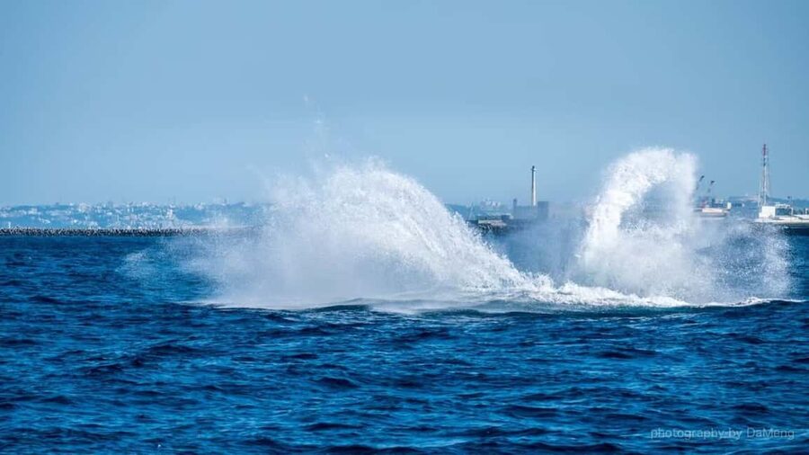 From Naha: Whale Watching with Pickup and English Guide - Why Okinawa is a good place to look for humpback whales