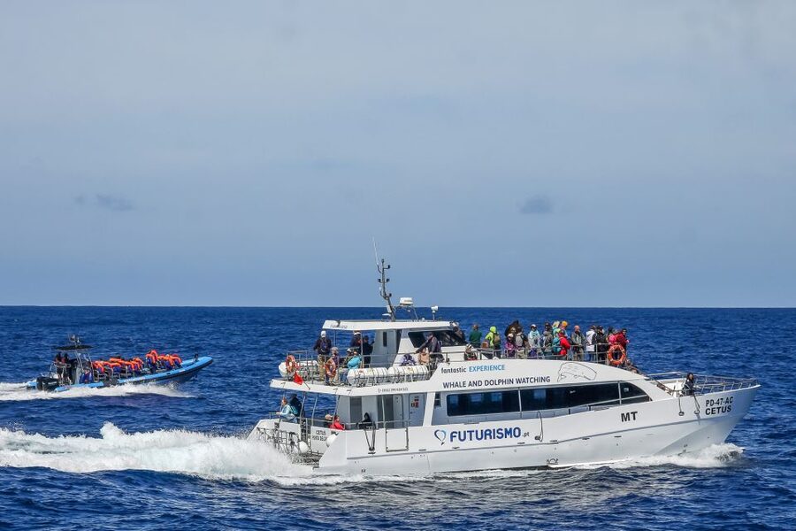 From Ponta Delgada: Whale and Dolphin Watching Trip - Leaving Ponta Delgada for the open Atlantic