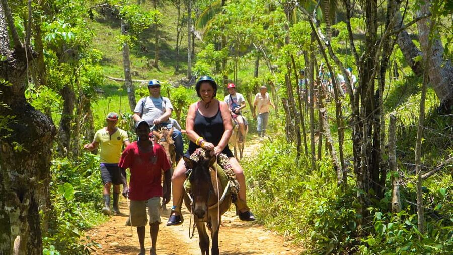 From Punta Cana: Sanctuary Whale Watching Day Trip - Dominican lunch and the day’s energy level