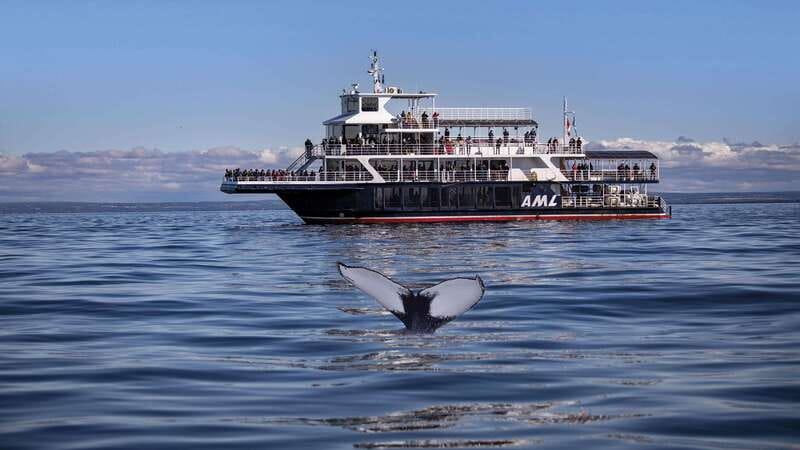 From Quebec City: Whale Watching Excursion Full-Day Trip - Charlevoix scenery before the water