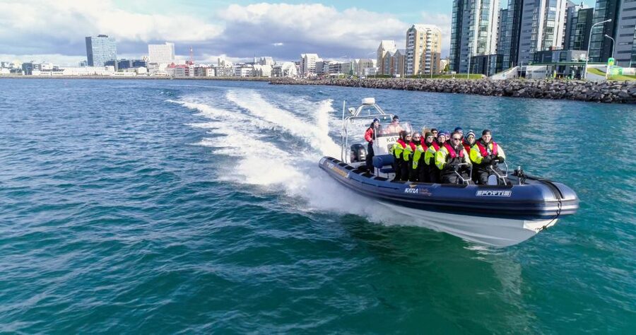 From Reykjavik: Whale Watching Tour by Speedboat - Key points to know before you book