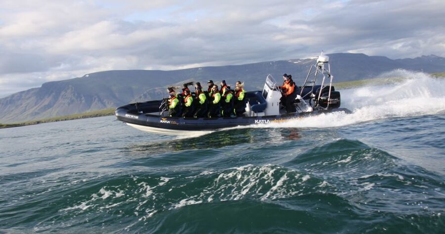 From Reykjavik: Whale Watching Tour by Speedboat - Dolphins can turn the ride into a show