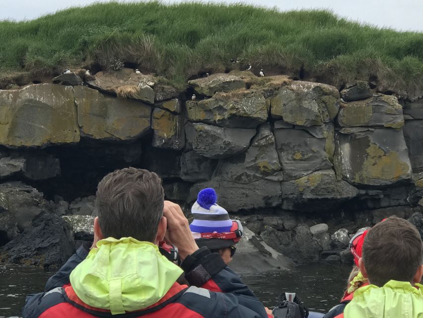 From Reykjavik: Whale Watching Tour by Speedboat - Warm gear helps, but it does not make the sea gentle