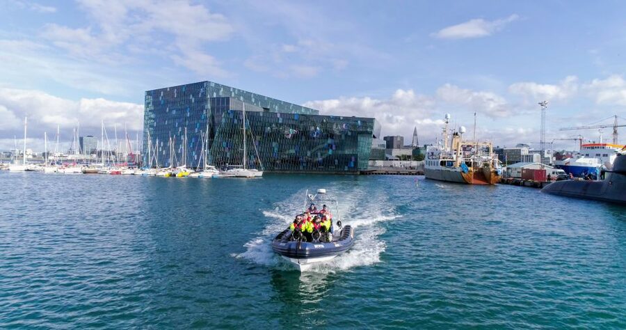 From Reykjavik: Whale Watching Tour by Speedboat - The guide makes the difference