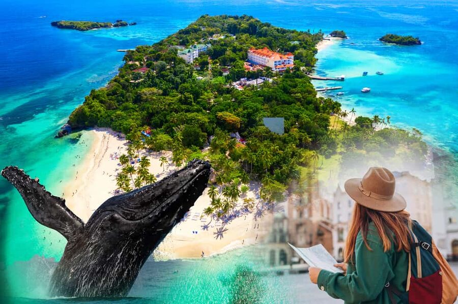 From Samaná: Whale Watching and Cayo Levantado Island Tour - Who will enjoy this tour most?