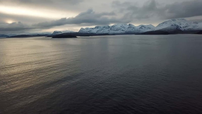 From Tromsø: All-Inclusive Whale & Orca Safari - Food, warmth, and the return to Tromsø