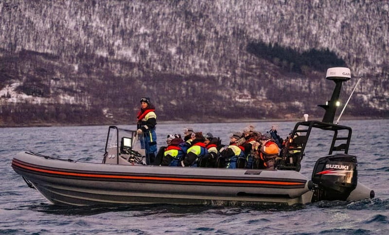 From Tromso: Whale Watching in Magic Skjervoy - The fjords are part of the experience