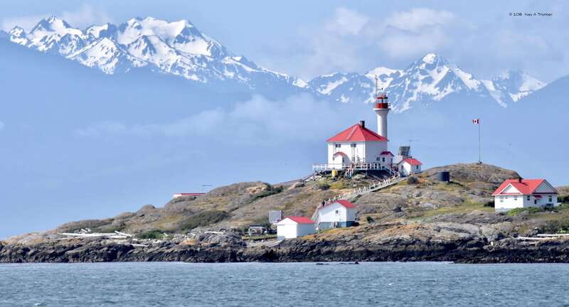 From Victoria: Whale Watching Tour by Zodiac Boat - The guide turns a boat ride into a lesson