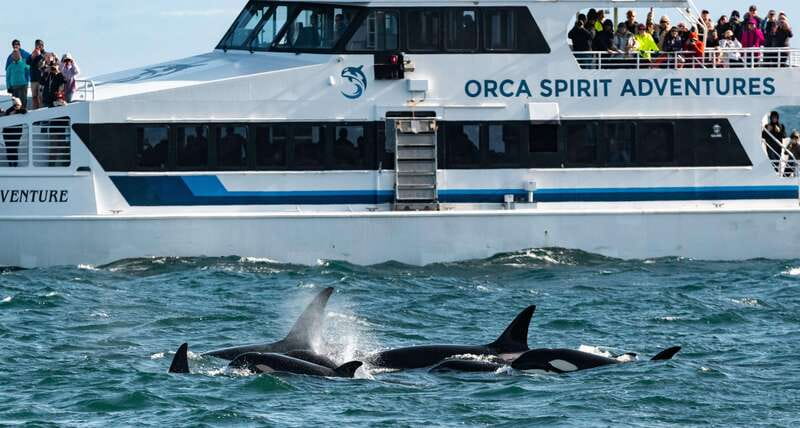 From Victoria: Whale Watching Trip on Covered Boat - Setting out from Victoria’s Marina Level