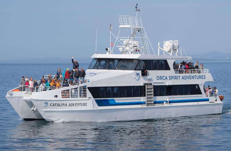 From Victoria: Whale Watching Trip on Covered Boat - Searching the Salish Sea for orcas and humpbacks