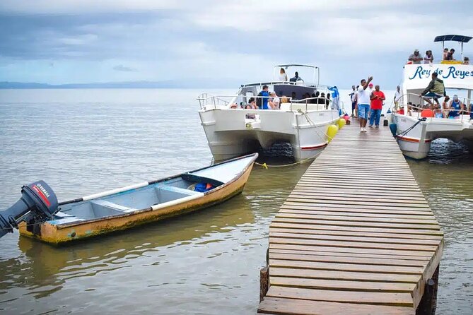 Full Day Bacardi Whale Watching - End Season March 30th - What to bring for a day on the water