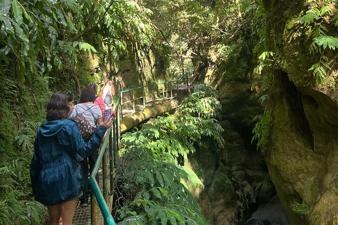 Full Day Sete Cidades with Whale Watching at Mosteiros - Ferraria, where hot water meets the Atlantic