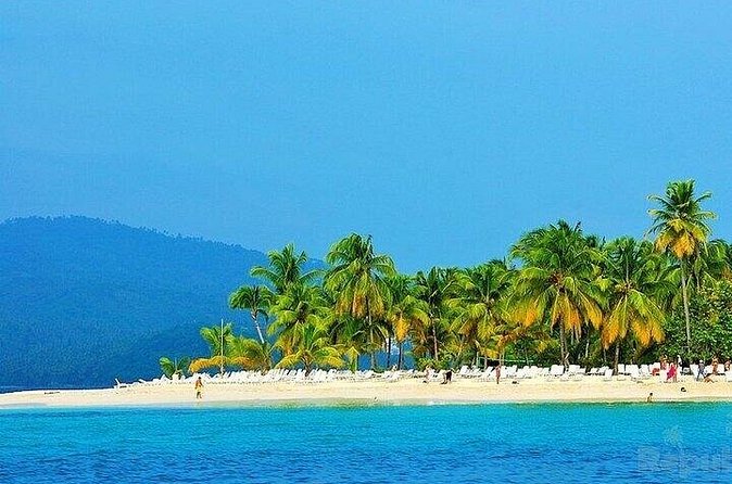 Full-day Whale watching Tour in Samana Bay from Punta Cana - Who should book this Punta Cana day trip