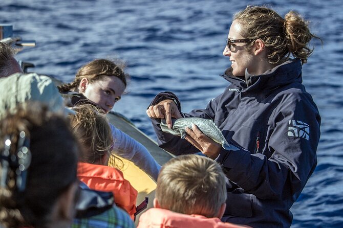 Full-Day Whales & The Princess Ring Islet (incl. Lunch) - Is the $134.68 price fair?