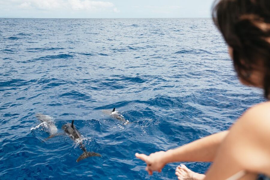Funchal Bay: Dolphin & Whale Watch Luxury Catamaran Cruise - How luxurious is the Atlantic Pearl?